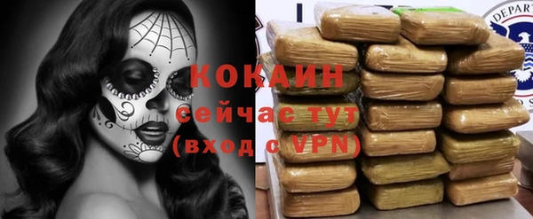 стаф Абаза