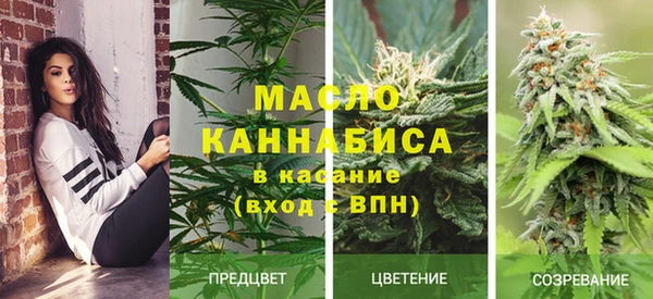 ГАЛЛЮЦИНОГЕННЫЕ ГРИБЫ Костерёво