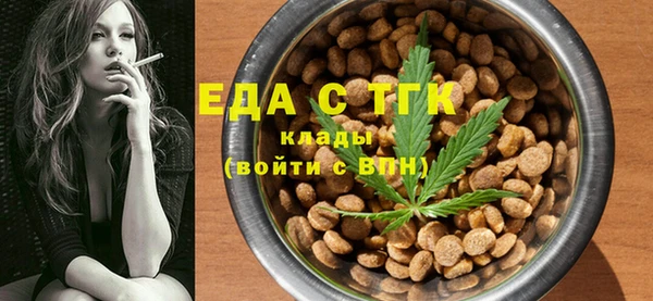 дживик Ельня