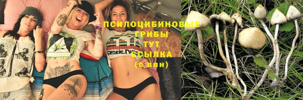 Альфа ПВП Абдулино