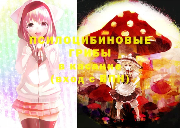 стаф Абаза